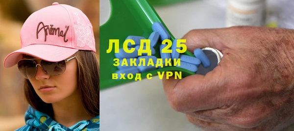 стаф Аркадак