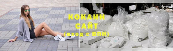 стаф Аркадак