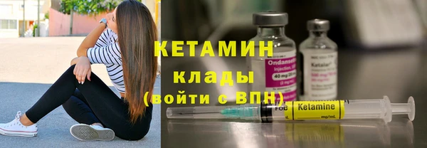 стаф Аркадак