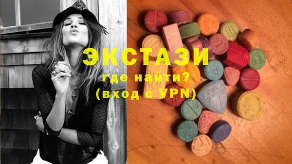 стаф Аркадак