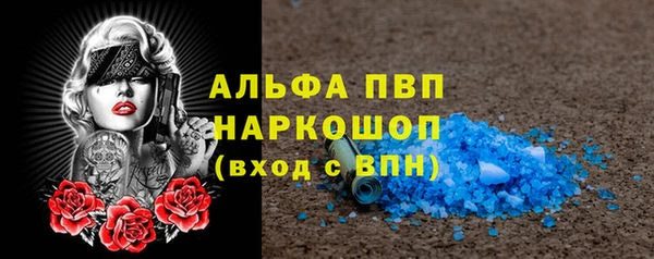 стаф Аркадак