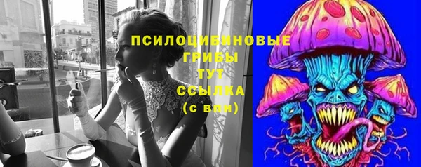 дмт Арсеньев