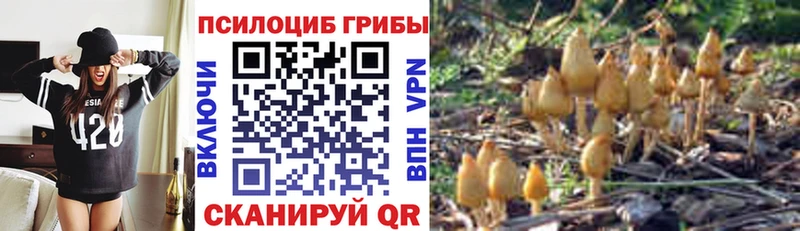 Псилоцибиновые грибы Magic Shrooms Купить закладки Казань